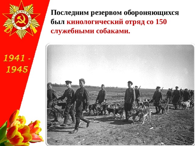 Последним резервом обороняющихся был кинологический отряд со 150 служебными собаками. 
