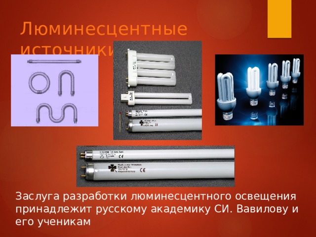 Люминесцентные источники света Заслуга разработки люминесцентного освещения принадлежит русскому академику СИ. Вавилову и его ученикам 