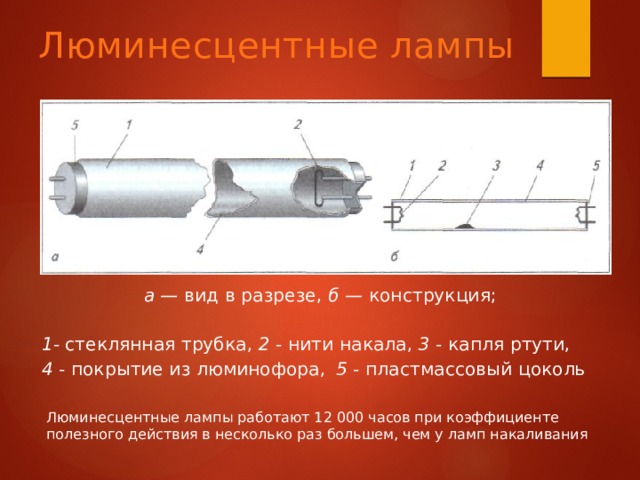 Люминесцентные лампы а — вид в разрезе, б — конструкция; 1 - стеклянная трубка, 2 - нити накала, 3 - капля ртути, 4 - покрытие из люминофора,  5 - пластмассовый цоколь Люминесцентные лампы работают 12 000 часов при коэффициенте полезного действия в несколько раз большем, чем у ламп накаливания 