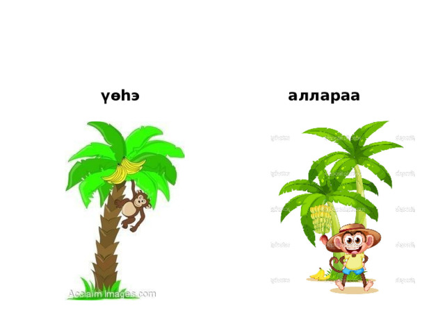 үөһэ аллараа 