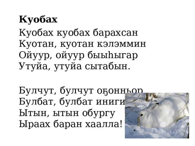    Куобах  Куобах куобах барахсан   Куотан, куотан кэлэммин   Ойуур, ойуур быыhыгар   Утуйа, утуйа сытабын.    Булчут, булчут оҕонньор   Булбат, булбат инигин   Ытын, ытын обургу   Ыраах баран хаалла!    