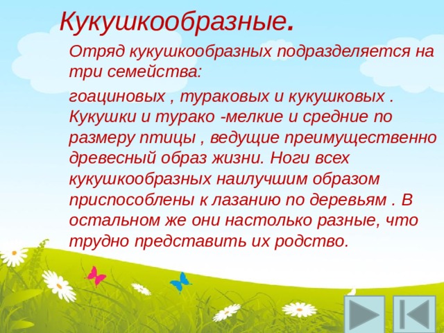 Кукушкообразные . Отряд кукушкообразных подразделяется на три семейства: гоациновых , тураковых и кукушковых . Кукушки и турако -мелкие и средние по размеру птицы , ведущие преимущественно древесный образ жизни. Ноги всех кукушкообразных наилучшим образом приспособлены к лазанию по деревьям . В остальном же они настолько разные, что трудно представить их родство. 