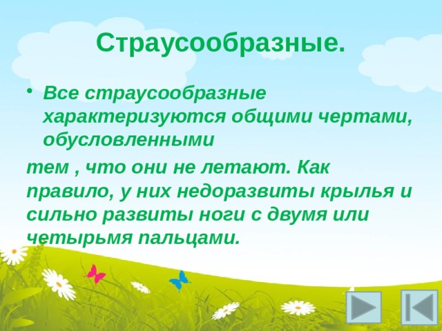 Страусообразные. Все страусообразные характеризуются общими чертами, обусловленными тем , что они не летают. Как правило, у них недоразвиты крылья и сильно развиты ноги с двумя или четырьмя пальцами.  