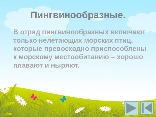 Пингвинообразные. В отряд пингвинообразных включают только нелетающих морских птиц, которые превосходно приспособлены к морскому местообитанию – хорошо плавают и ныряют. 