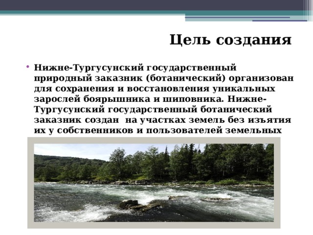 Цель создания   Нижне-Тургусунский государственный природный заказник (ботанический) организован для сохранения и восстановления уникальных зарослей боярышника и шиповника. Нижне-Тургусунский государственный ботанический заказник создан  на участках земель без изъятия их у собственников и пользователей земельных участков 