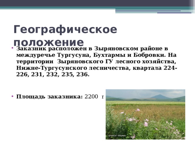 Географическое положение Заказник расположен в Зыряновском районе в  междуречье Тургусуна, Бухтармы и Бобровки. На  территории  Зыряновского ГУ лесного хозяйства, Нижне-Тургусунского лесничества, квартала 224-226, 231, 232, 235, 236.  Площадь заказника: 2200  га. 