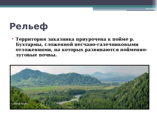 Рельеф   Территория заказника приурочена к пойме р. Бухтармы, сложенной песчано-галечниковыми отложениями, на которых развиваются пойменно-луговые почвы. 