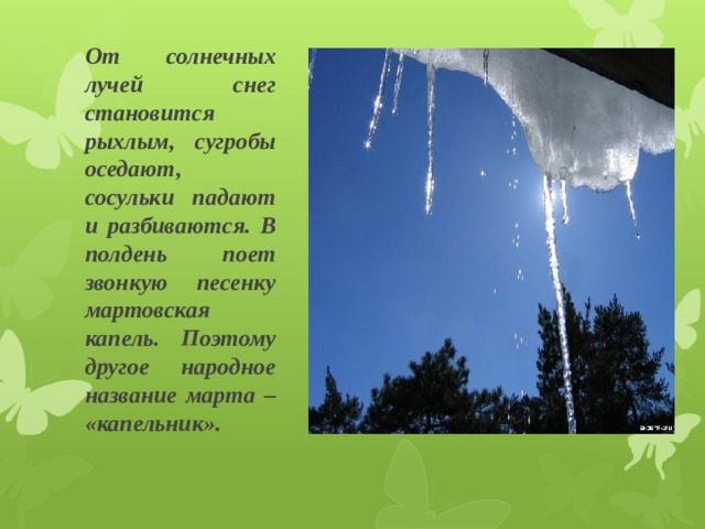 От солнечных лучей снег становится рыхлым, сугробы оседают, сосульки падают и разбиваются. В полдень поет звонкую песенку мартовская капель. Поэтому другое народное название марта – «капельник». 
