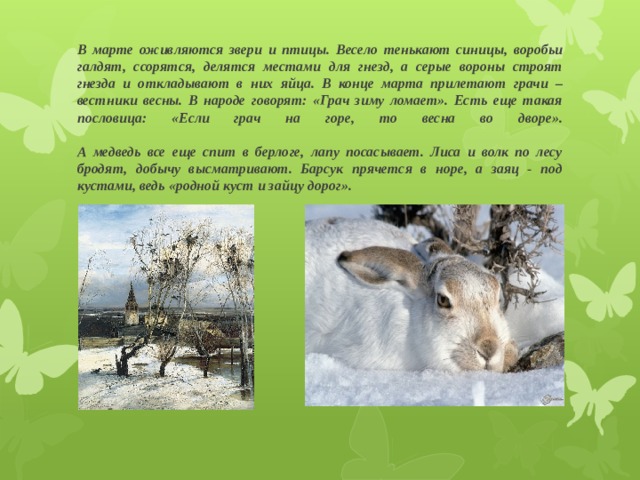 В марте оживляются звери и птицы. Весело тенькают синицы, воробьи галдят, ссорятся, делятся местами для гнезд, а серые вороны строят гнезда и откладывают в них яйца. В конце марта прилетают грачи – вестники весны. В народе говорят: «Грач зиму ломает». Есть еще такая пословица: «Если грач на горе, то весна во дворе».   А медведь все еще спит в берлоге, лапу посасывает. Лиса и волк по лесу бродят, добычу высматривают. Барсук прячется в норе, а заяц - под кустами, ведь «родной куст и зайцу дорог». 