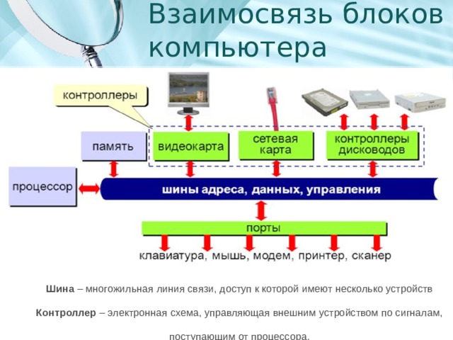Взаимосвязь блоков компьютера Шина – многожильная линия связи, доступ к которой имеют несколько устройств Контроллер – электронная схема, управляющая внешним устройством по сигналам, поступающим от процессора. 