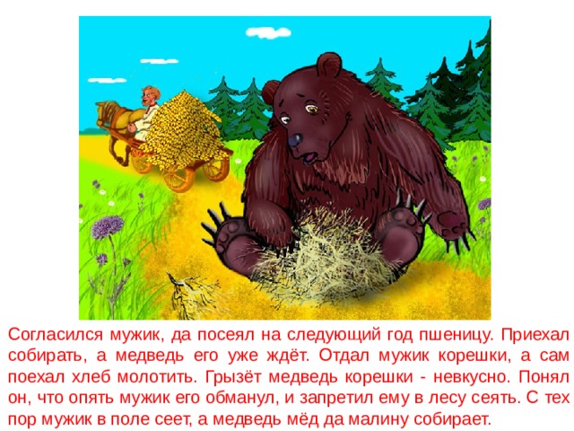 Согласился мужик, да посеял на следующий год пшеницу. Приехал собирать, а медведь его уже ждёт. Отдал мужик корешки, а сам поехал хлеб молотить. Грызёт медведь корешки - невкусно. Понял он, что опять мужик его обманул, и запретил ему в лесу сеять. С тех пор мужик в поле сеет, а медведь мёд да малину собирает. 