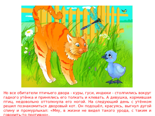 Но все обитатели птичьего двора - куры, гуси, индюки - столпились вокруг гадкого утёнка и принялись его толкать и клевать. А девушка, кормившая птиц, недовольно оттолкнула его ногой. На следующий день с утёнком решил познакомиться дворовый кот. Он подошёл, красуясь, выгнул дугой спину и промурлыкал: «Мяу, в жизни не видел такого урода, с таким и говорить-то противно». 