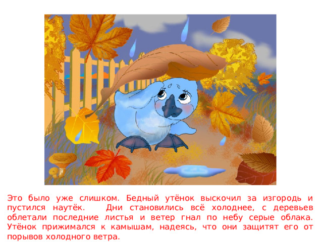 Это было уже слишком. Бедный утёнок выскочил за изгородь и пустился наутёк. Дни становились всё холоднее, с деревьев облетали последние листья и ветер гнал по небу серые облака. Утёнок прижимался к камышам, надеясь, что они защитят его от порывов холодного ветра. 