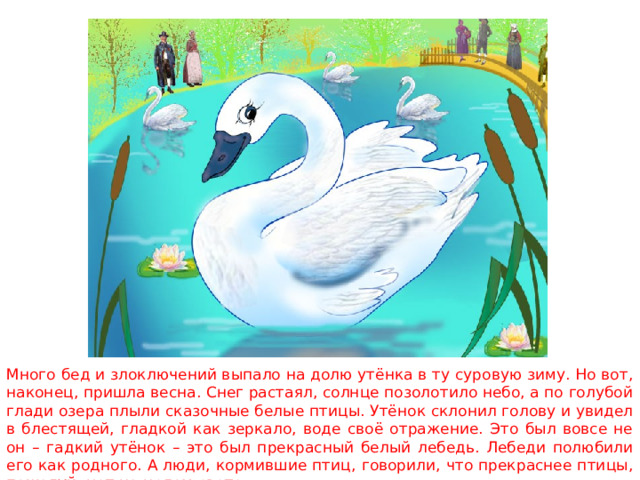 Много бед и злоключений выпало на долю утёнка в ту суровую зиму. Но вот, наконец, пришла весна. Снег растаял, солнце позолотило небо, а по голубой глади озера плыли сказочные белые птицы. Утёнок склонил голову и увидел в блестящей, гладкой как зеркало, воде своё отражение. Это был вовсе не он – гадкий утёнок – это был прекрасный белый лебедь. Лебеди полюбили его как родного. А люди, кормившие птиц, говорили, что прекраснее птицы, пожалуй, нет на целом свете. 