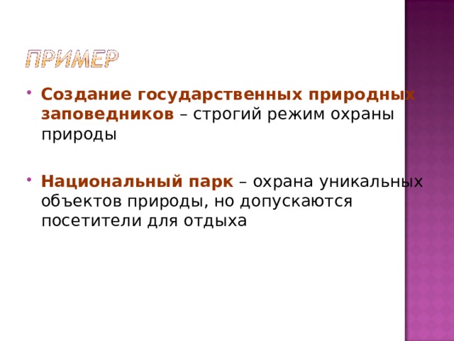 Создание государственных природных заповедников – строгий режим охраны природы Национальный парк – охрана уникальных объектов природы, но допускаются посетители для отдыха 