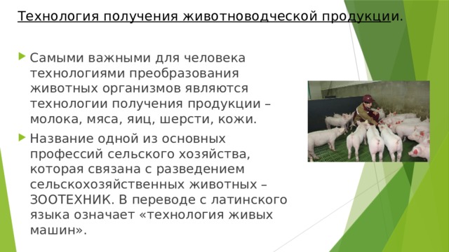 Технология получения животноводческой продукци и. Самыми важными для человека технологиями преобразования животных организмов являются технологии получения продукции – молока, мяса, яиц, шерсти, кожи. Название одной из основных профессий сельского хозяйства, которая связана с разведением сельскохозяйственных животных – ЗООТЕХНИК. В переводе с латинского языка означает «технология живых машин». 