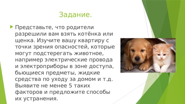 Задание. Представьте, что родители разрешили вам взять котёнка или щенка. Изучите вашу квартиру с точки зрения опасностей, которые могут подстерегать животное, например электрические провода и электроприборы в зоне доступа, бьющиеся предметы, жидкие средства по уходу за домом и т.д. Выявите не менее 5 таких факторов и предложите способы их устранения. 