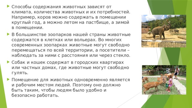 Способы содержания животных зависят от климата, количества животных и их потребностей. Например, коров можно содержать в помещении круглый год, а можно летом на пастбище, а зимой в помещении. В большинстве зоопарков нашей страны животные содержатся в клетках или вольерах. Во многих современных зоопарках животные могут свободно перемещаться по всей территории, а посетители – наблюдать за ними с расстояния или через стекло. Собак и кошек содержат в городских квартирах или частных домах, где животные могут свободно гулять. Помещение для животных одновременно является и рабочим местом людей. Поэтому оно должно быть таким, чтобы людям было удобно и безопасно работать. 