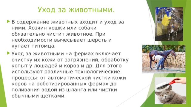 Уход за животными. В содержание животных входит и уход за ними. Хозяин кошки или собаки обязательно чистит животное. При необходимости вычёсывает шерсть и купает питомца. Уход за животными на фермах включает очистку их кожи от загрязнений, обработку копыт у лошадей и коров и др. Для этого используют различные технологические процессы: от автоматической чистки кожи коров на роботизированных фермах до поливания водой из шланга или чистки обычными щетками. 