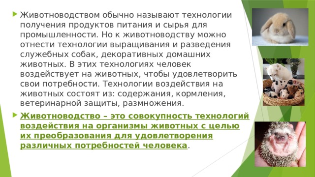Животноводством обычно называют технологии получения продуктов питания и сырья для промышленности. Но к животноводству можно отнести технологии выращивания и разведения служебных собак, декоративных домашних животных. В этих технологиях человек воздействует на животных, чтобы удовлетворить свои потребности. Технологии воздействия на животных состоят из: содержания, кормления, ветеринарной защиты, размножения. Животноводство – это совокупность технологий воздействия на организмы животных с целью их преобразования для удовлетворения различных потребностей человека . 