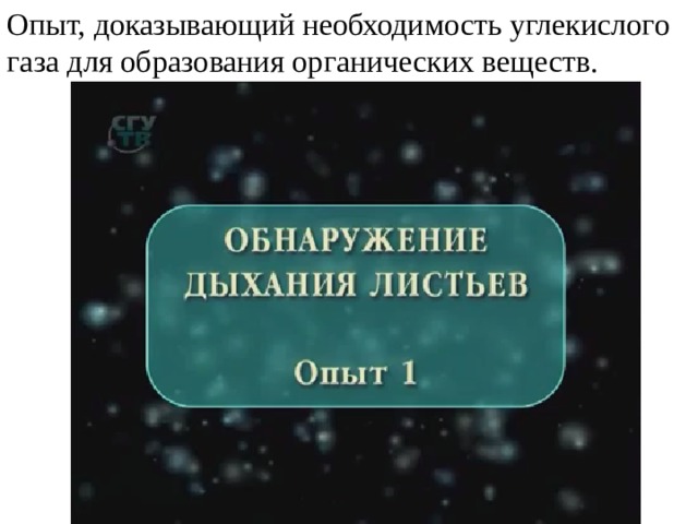 Опыт, доказывающий необходимость углекислого газа для образования органических веществ. 