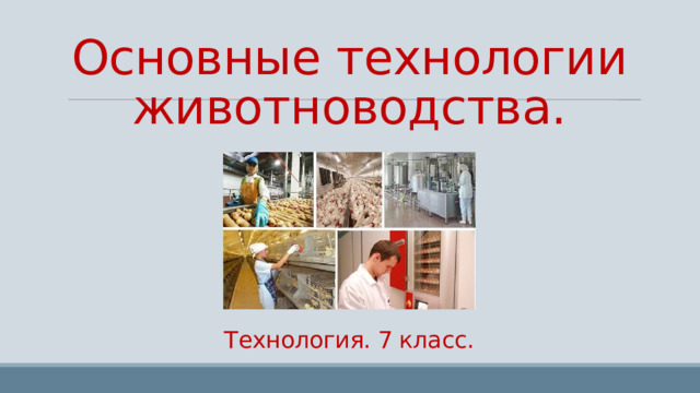 Основные технологии животноводства.      Технология. 7 класс. 