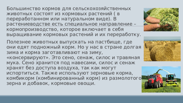 Большинство кормов для сельскохозяйственных животных состоят из кормовых растений ( в переработанном или натуральном виде). В растениеводстве есть специальное направление – кормопроизводство, которое включает в себя выращивание кормовых растений и их переработку. Полезнее животных выпускать на пастбище, где они едят подножный корм. Но у нас в стране долгая зима и корма заготавливают на зиму, «консервируют». Это сено, сенаж, силос и травяная мука. Сено хранится под навесами, силос и сенаж хранят без доступа воздуха, так как могут испортиться. Также используют зерновые корма, комбикорм (комбинированный корм) из размолотого зерна и добавок, кормовые овощи. 