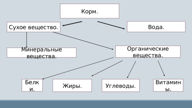 Корм. Вода. Сухое вещество. Органические вещества. Минеральные вещества. Витамины. Углеводы. Жиры. Белки. 