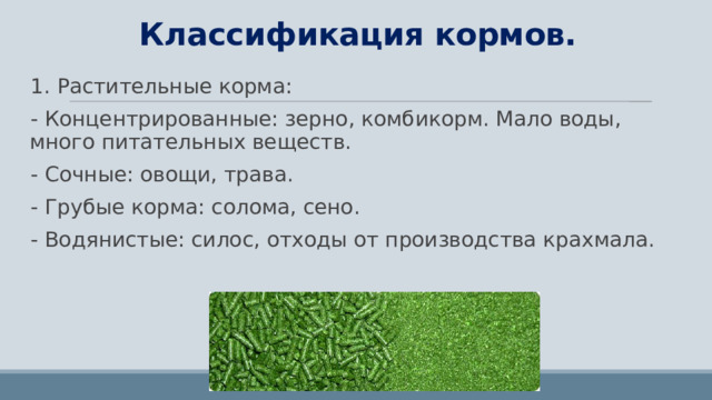 Классификация кормов. 1. Растительные корма: - Концентрированные: зерно, комбикорм. Мало воды, много питательных веществ. - Сочные: овощи, трава. - Грубые корма: солома, сено. - Водянистые: силос, отходы от производства крахмала. 