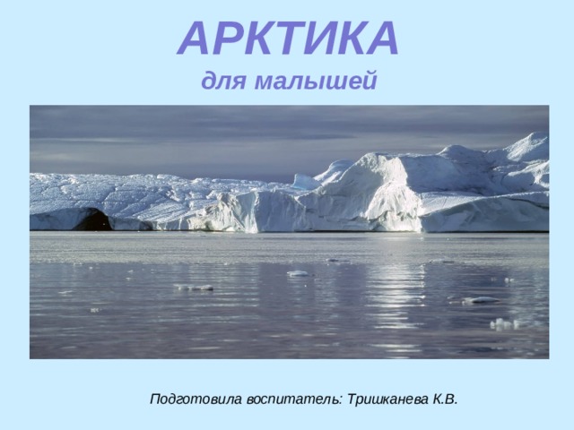АРКТИКА  для малышей Подготовила воспитатель: Тришканева К.В. 