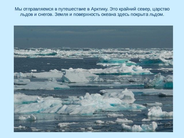 Мы отправляемся в путешествие в Арктику. Это крайний север, царство льдов и снегов. Земля и поверхность океана здесь покрыта льдом. 