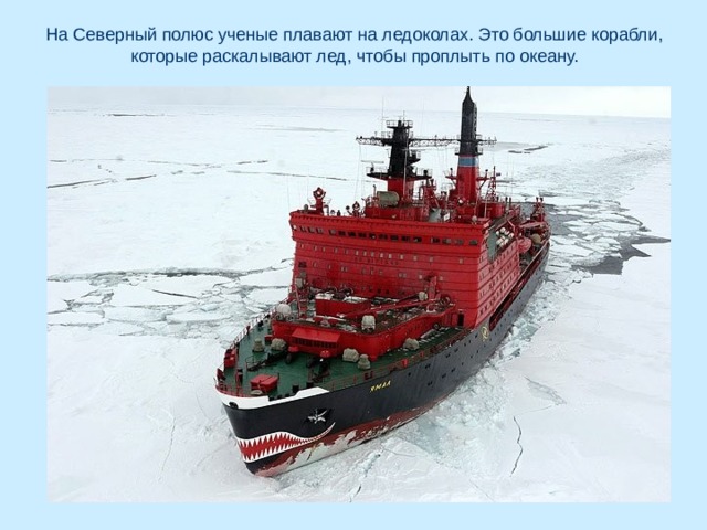 На Северный полюс ученые плавают на ледоколах. Это большие корабли, которые раскалывают лед, чтобы проплыть  по океану. 