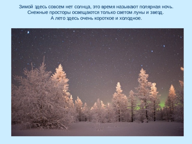 Зимой здесь совсем нет солнца, это время называют полярная ночь. Снежные просторы освещаются только светом луны и звезд.  А лето здесь очень короткое и холодное. 