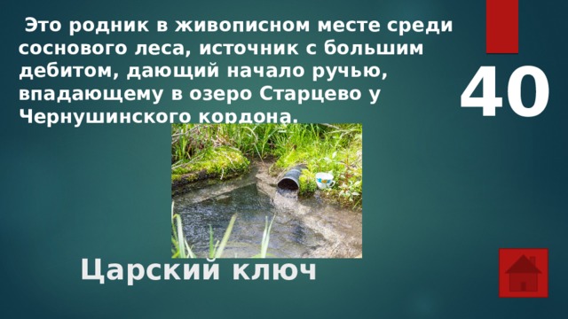  Это родник в живописном месте среди соснового леса, источник с большим дебитом, дающий начало ручью, впадающему в озеро Старцево у Чернушинского кордона.   40 Царский ключ 