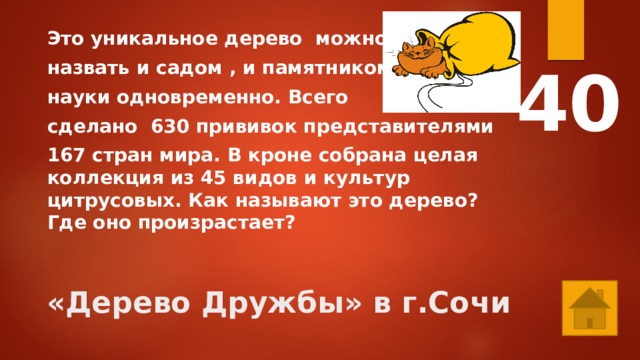 Это уникальное дерево можно назвать и садом , и памятником науки одновременно. Всего сделано 630 прививок представителями 167 стран мира. В кроне собрана целая коллекция из 45 видов и культур цитрусовых. Как называют это дерево? Где оно произрастает? 40 «Дерево Дружбы» в г.Сочи 