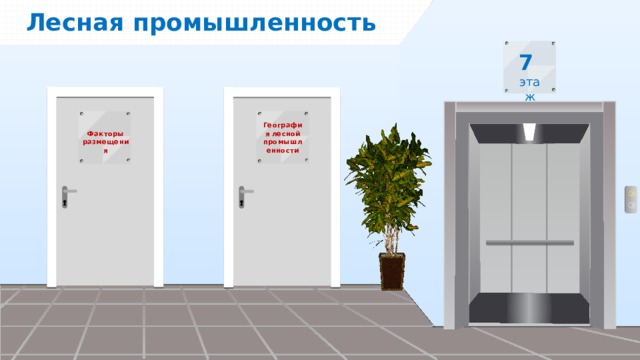 Лесная промышленность География лесной промышленности Факторы размещения 