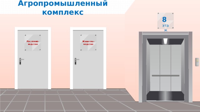 Агропромышленный комплекс Растение-водство Животно-водство 