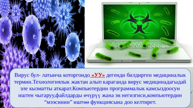 Вирус бул- латынча которгондо «УУ» дегенди билдирген медициналык термин.Технологиялык жактан алып караганда вирус медицинадагыдай эле кызматты аткарат.Компьютердин программалык камсыздоосун иштен чыгаруу,файлдарды өчүрүү жана эң негизгиси,компьютердин “мээсинин” иштөө функциясына доо келтирет. 