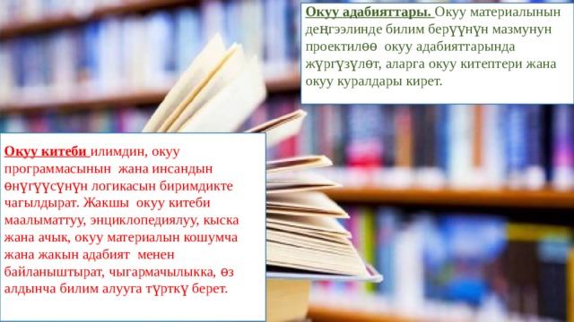 Окуу адабияттары. Окуу материалынын деңгээлинде билим берүүнүн мазмунун проектилѳѳ окуу адабияттарында жүргүзүлѳт, аларга окуу китептери жана окуу куралдары кирет. Окуу китеби илимдин, окуу программасынын жана инсандын ѳнүгүүсүнүн логикасын биримдикте чагылдырат. Жакшы окуу китеби маалыматтуу, энциклопедиялуу, кыска жана ачык, окуу материалын кошумча жана жакын адабият менен байланыштырат, чыгармачылыкка, ѳз алдынча билим алууга түрткү берет. 