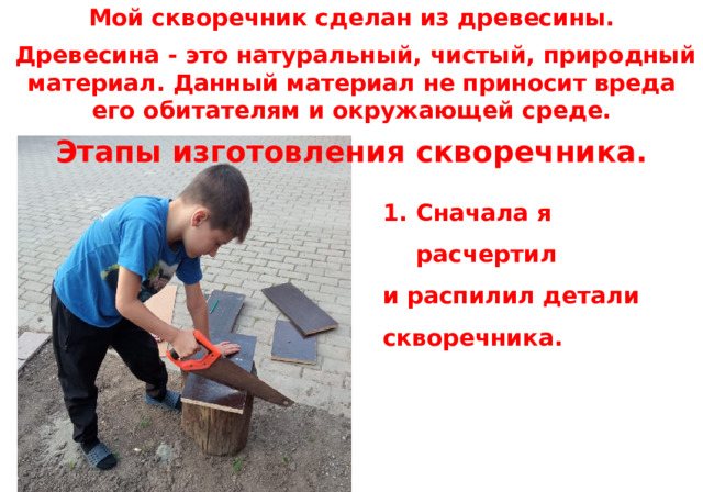 Мой скворечник сделан из древесины.  Древесина - это натуральный, чистый, природный материал. Данный материал не приносит вреда его обитателям и окружающей среде. Этапы изготовления скворечника.   Сначала я расчертил и распилил детали скворечника. 