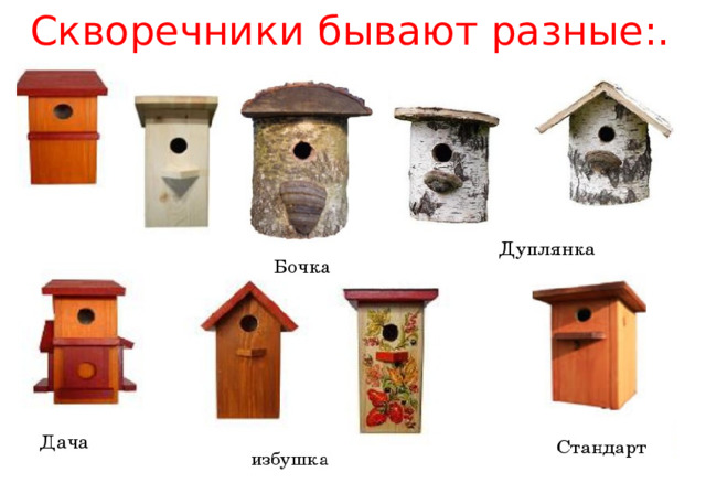 Скворечники бывают разные:. 