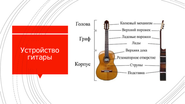 Устройство гитары  