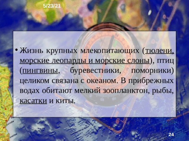 5/23/21 10. Органический мир Живые организмы наиболее распространены на прибрежных островах и в антарк­тических оазисах. На возвышающихся надо льдами скалах летом появляются мхи и лишайники, а на поверхности самих льдов - микроскопические водо­росли, грибы и бактерии.   