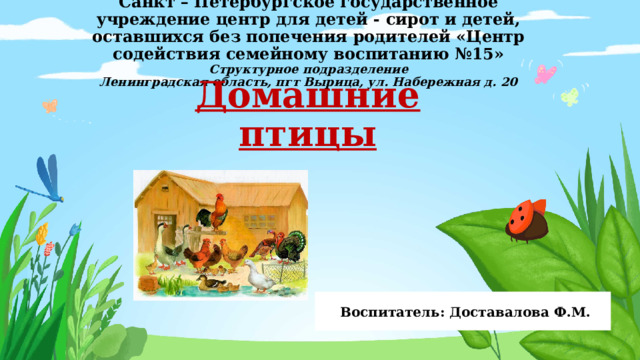 Санкт – Петербургское государственное учреждение центр для детей - сирот и детей, оставшихся без попечения родителей «Центр содействия семейному воспитанию №15»  Структурное подразделение  Ленинградская область, пгт Вырица, ул. Набережная д. 20 Домашние птицы  Воспитатель: Доставалова Ф.М. 