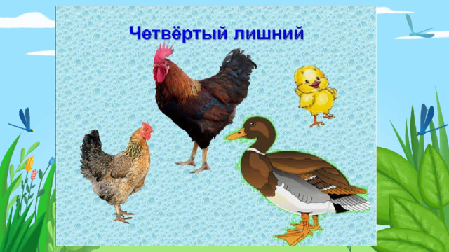 Неправильный ответ Введите сюда текст вопроса Неправильный ответ Правильный ответ 
