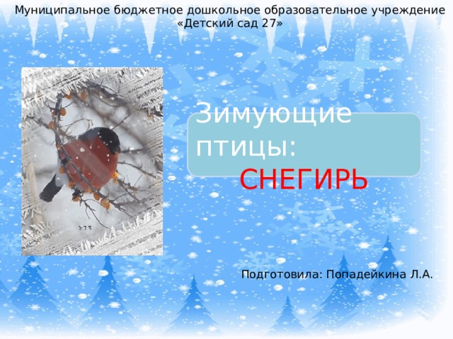 Муниципальное бюджетное дошкольное образовательное учреждение «Детский сад 27» Зимующие птицы: СНЕГИРЬ Подготовила: Попадейкина Л.А. 