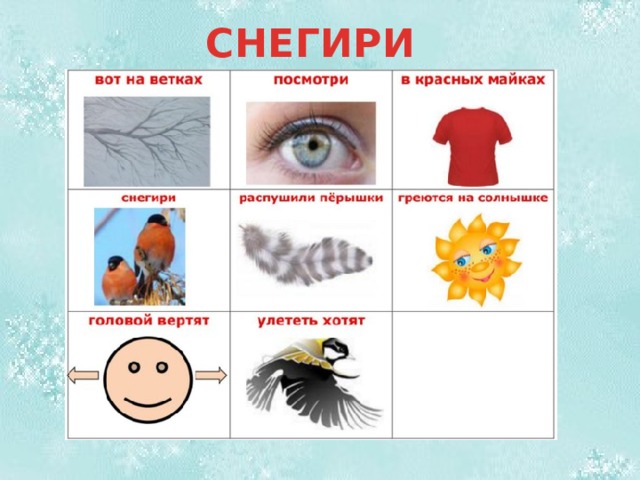 СНЕГИРИ 
