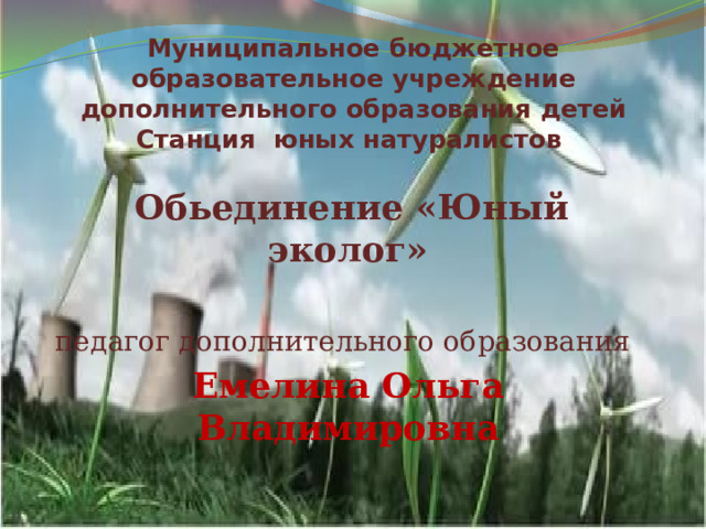 Муниципальное бюджетное образовательное учреждение дополнительного образования детей Станция юных натуралистов  Обьединение «Юный эколог»  педагог дополнительного образования  Емелина Ольга Владимировна 