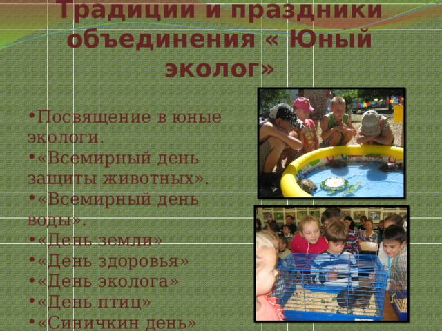 Традиции и праздники объединения « Юный эколог» Посвящение в юные экологи. «Всемирный день защиты животных». «Всемирный день воды». «День земли» «День здоровья» «День эколога» «День птиц» «Синичкин день» 