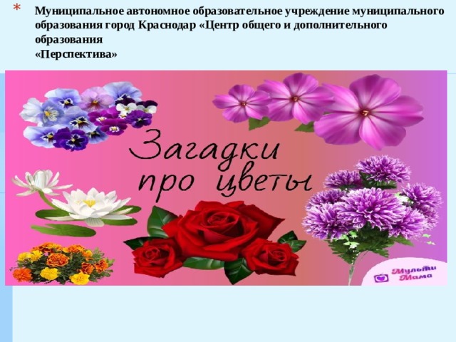 Муниципальное автономное образовательное учреждение муниципального  образования город Краснодар «Центр общего и дополнительного образования  «Перспектива»      